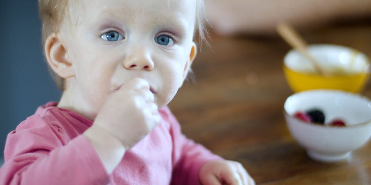 Alimentation Bébé 6 Mois : Légumes, Fruits et Premiers Goûts – Souvenirs Mensuels