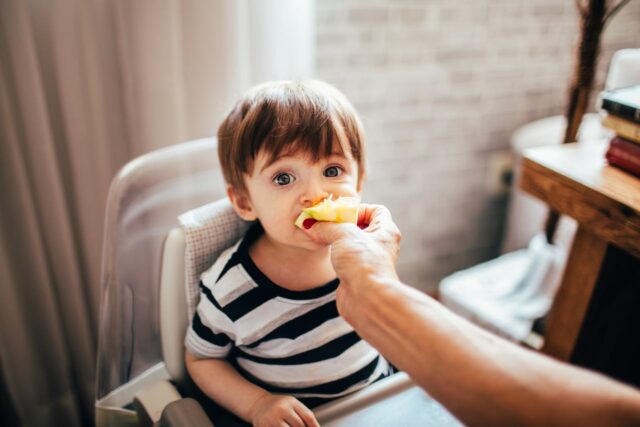 repas bébé soir-baby journal