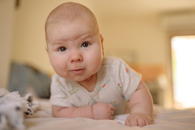 allergie oeuf bébé-baby journal