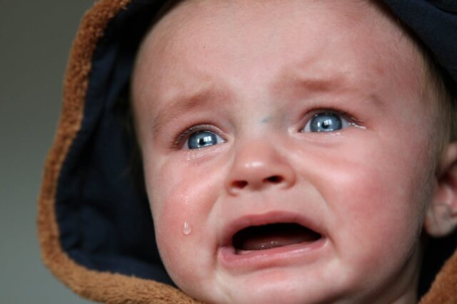 allergie poisson bébé-baby journal