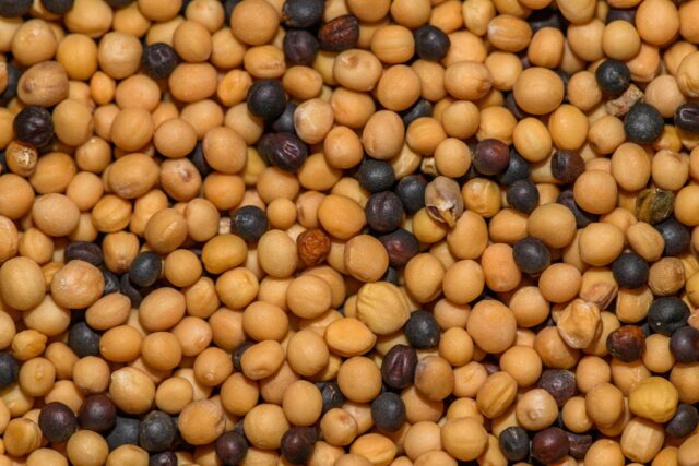 allergie soja bébé-baby journal