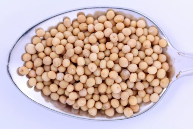allergie soja bébé-baby journal