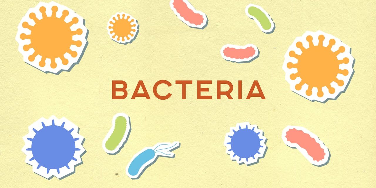 Bactéries Listeria Bébé Aliments : Prévention + Aliments Risqués