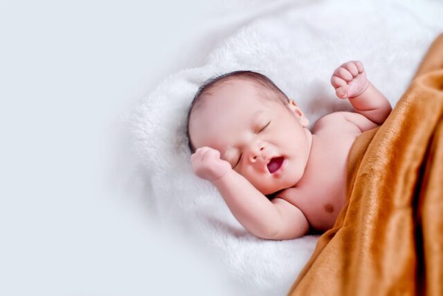 diversification bébé 2026-baby journal
