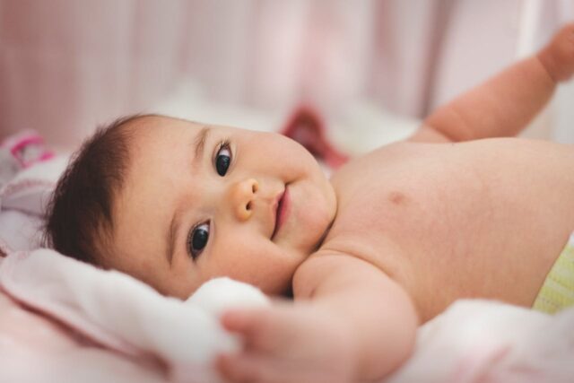 diversification bébé 2026-baby journal