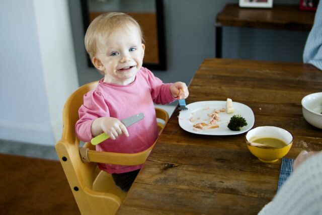 fer bébé alimentation-baby journal