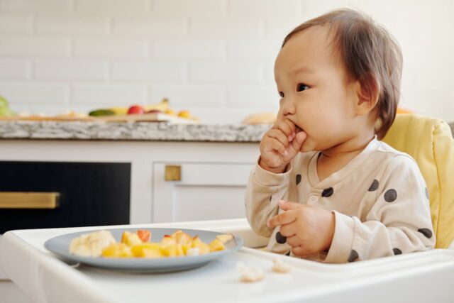 finger food bébé-baby journal