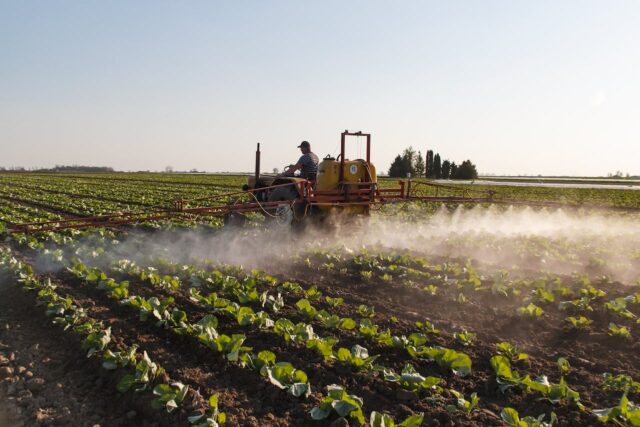pesticides résidus bébé-baby journal