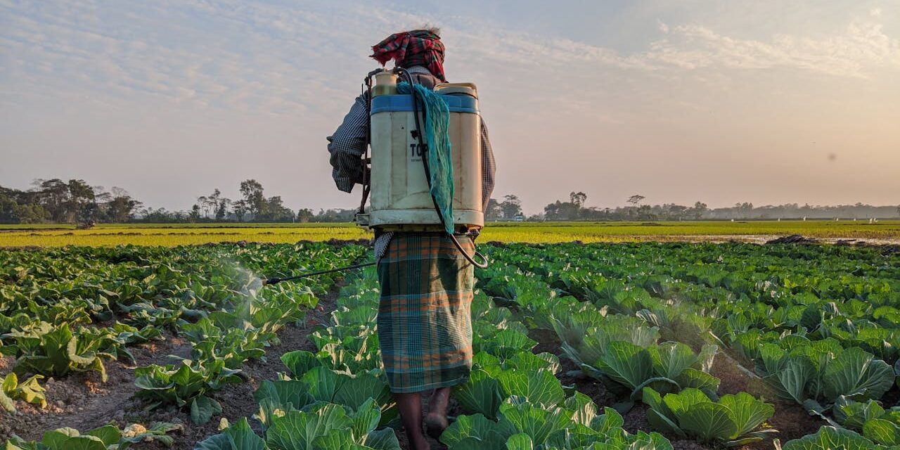 Pesticides Résidus Bébé : Lavage Aliments + Fruits/Légumes Priorité