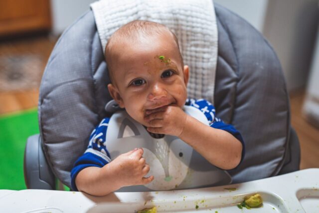 petit-déjeuner bébé 6 mois-baby journal