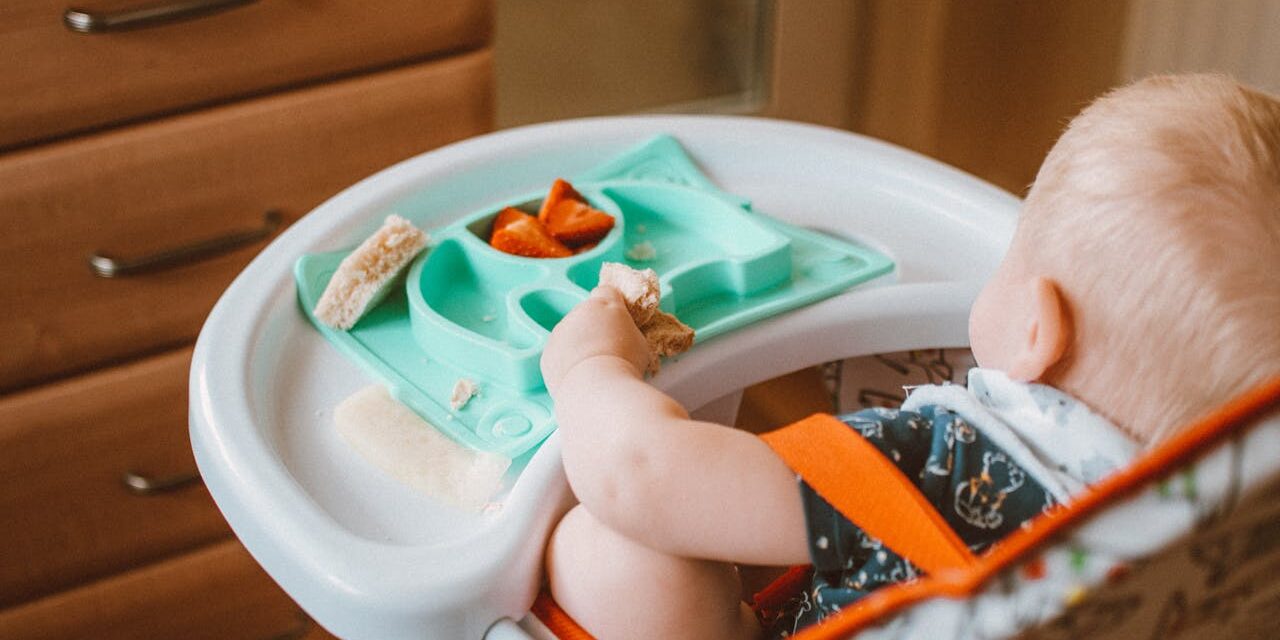 Petit-Déjeuner Bébé 6 Mois : 15 Idées Complètes + Nutrition
