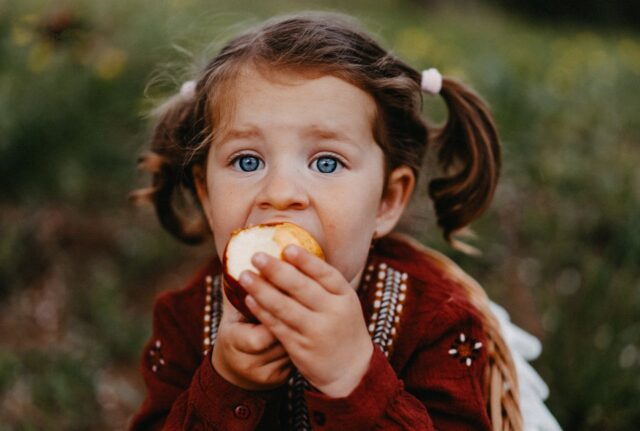 premier fruit bébé-baby journal