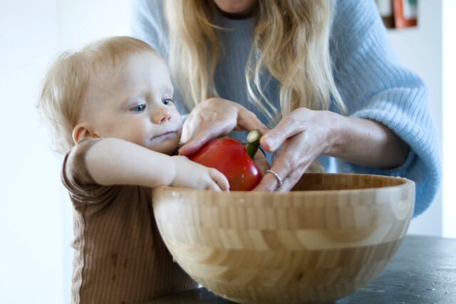 repas bébé bio-baby journal