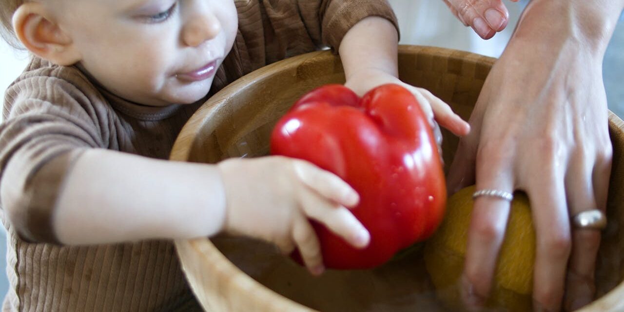 Repas Bébé Bio : Idées Maison – Un Héritage Sain à Garder dans Baby Journal