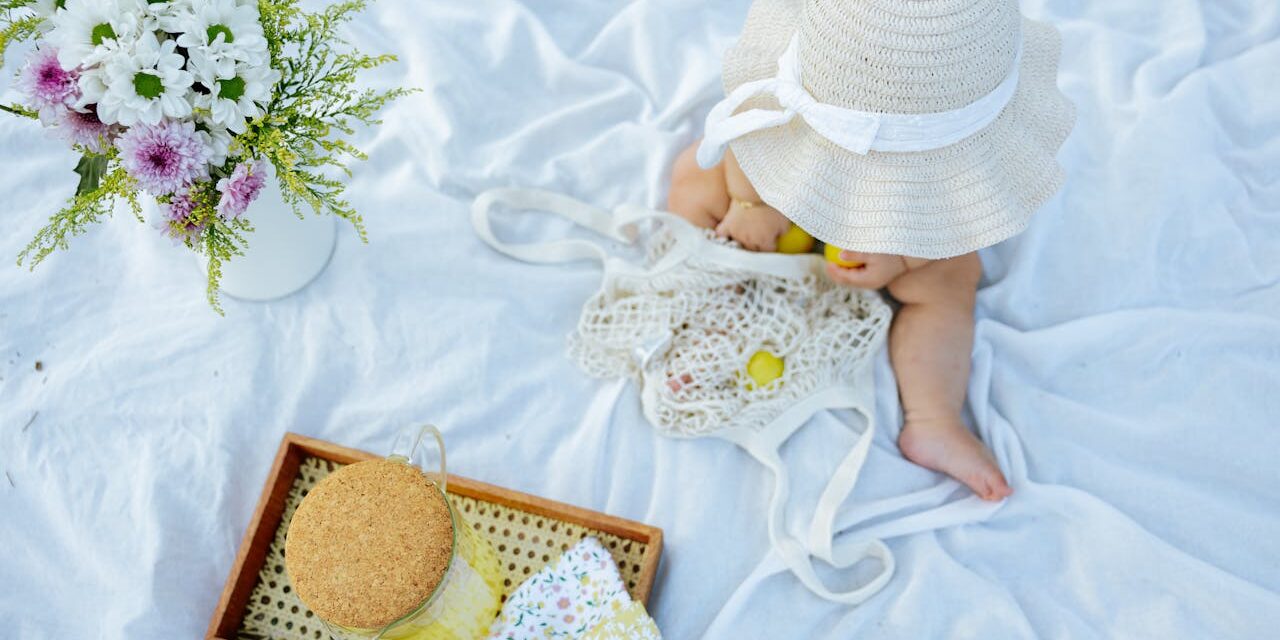 Repas Bébé Summer Pique-Nique : Portables Frais Conservation