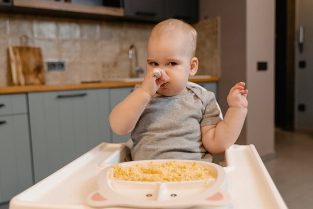 repas bébé une main-baby journal