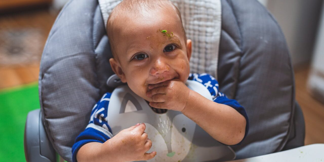 Repas Bébé Une Main : Finger Foods + Pratique Quotidienne