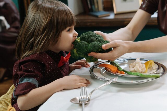 repas bébé végétarien-baby journal
