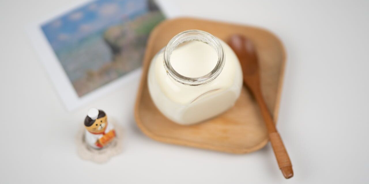 Yaourt Bébé Fait Maison : Machine Yogurt + 10 Recettes Saveur
