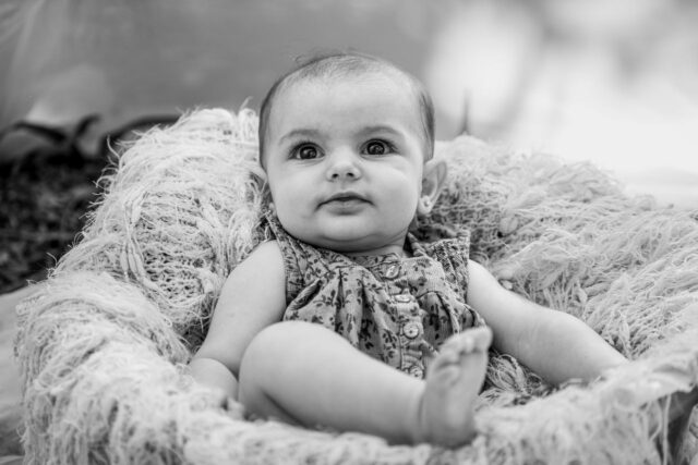 PMA grossesse souvenir-baby journal