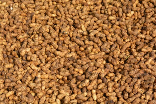 allergie arachide croisée-baby journal