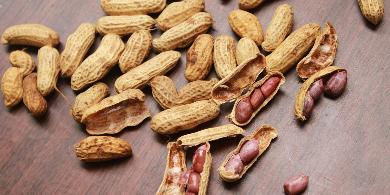 Allergie Arachide Croisée : Fruits Secs + Contamination + Prévention Complète