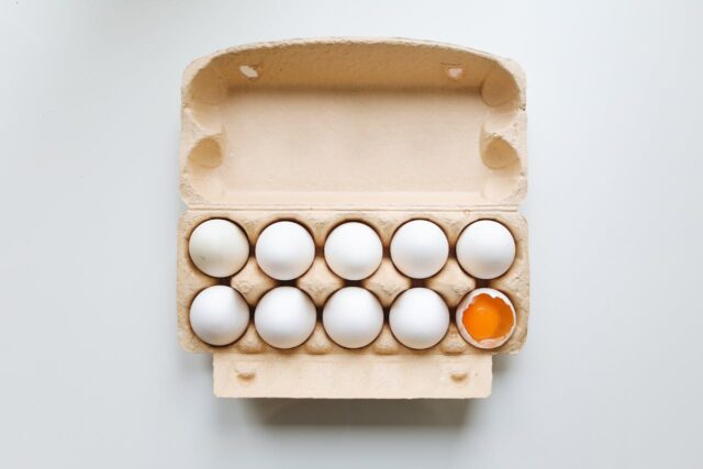 allergie oeuf progression-baby journal