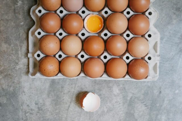 allergie oeuf progression-baby journal