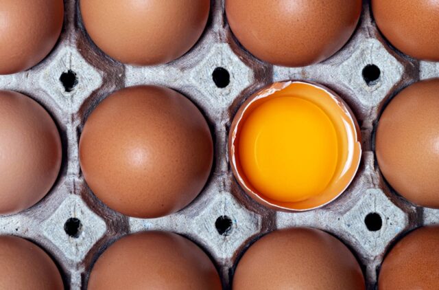 allergie oeuf progression-baby journal