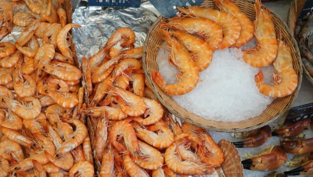 allergie poisson crustacés-baby journal