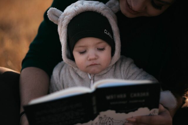 alternative carnet de santé-baby journal