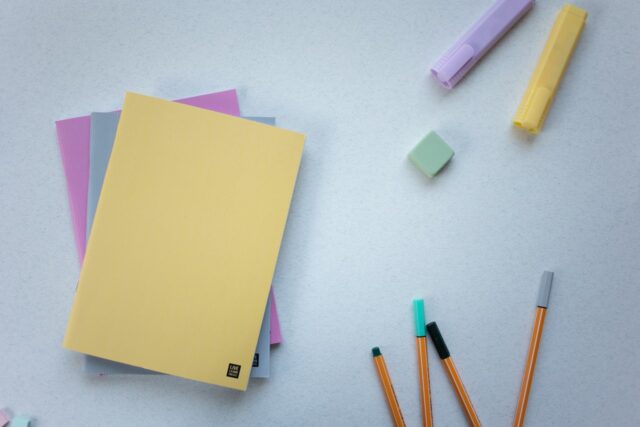 alternative carnet de santé-baby journal