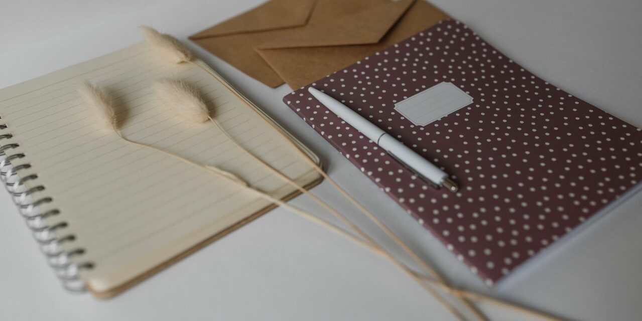 Carnet de Santé vs Journal de Bébé : Quelles Différences et Que Choisir ?