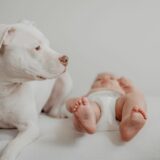 bébé et animal de compagnie-baby journal