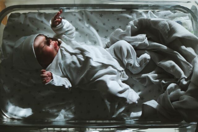 citation naissance bébé-entrepreneur anonyme-strategie des fractales