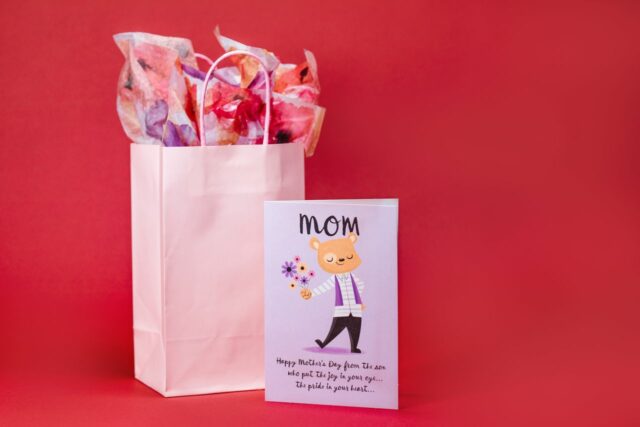 idée cadeau jeune maman-baby journal