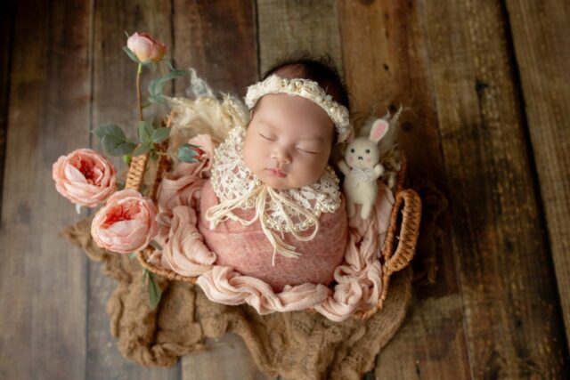 idées photo bébé mois par mois-baby journal