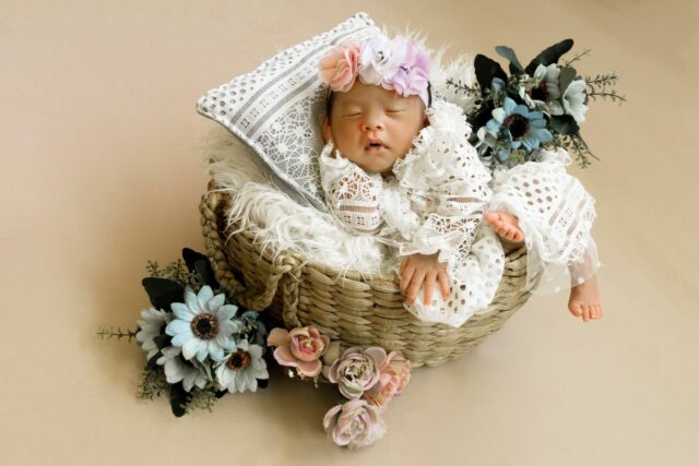 idées photo bébé mois par mois-baby journal