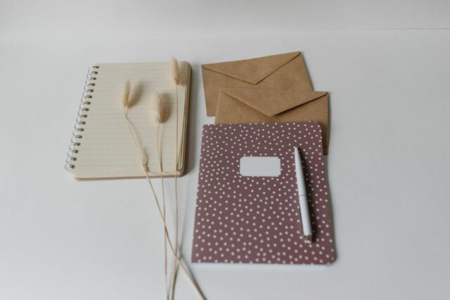 journal bébé-baby journal