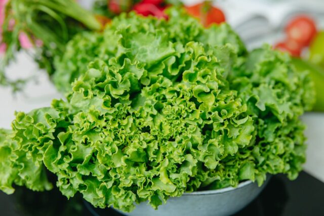 légumes verts feuille bébé-baby journal