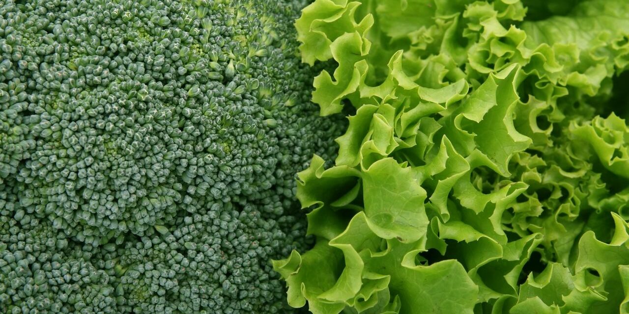 Légumes Verts Feuille Bébé : Vitamines K + Épinards Chou + 8 Recettes Faciles
