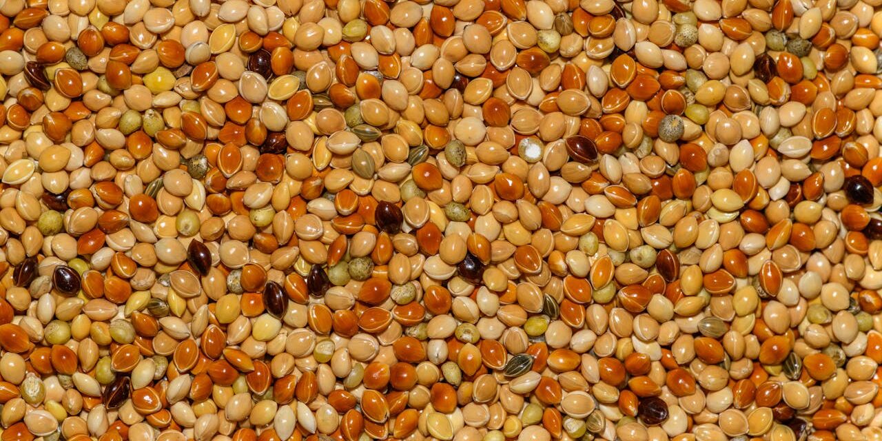 Quinoa Bébé Protéine : Acides Aminés Complets + 8 Recettes Nutritives Créatives