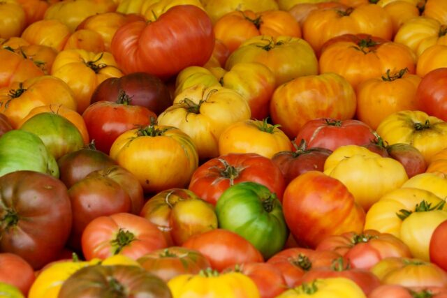 tomate fraise bébé-baby journal