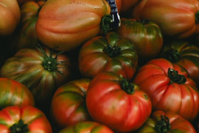 tomate fraise bébé-baby journal