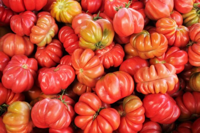 tomate fraise bébé-baby journal