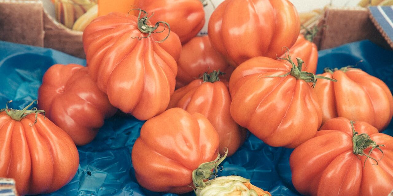 Tomate Fraise Bébé : Saveur + Texture Petit Format + 9 Recettes Sûres