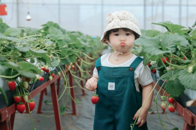 bébé jardinage nature activité-baby journal