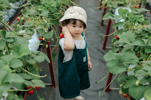 bébé jardinage nature activité-baby journal