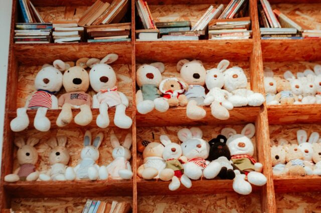 peluche personnalisée bébé-baby journal