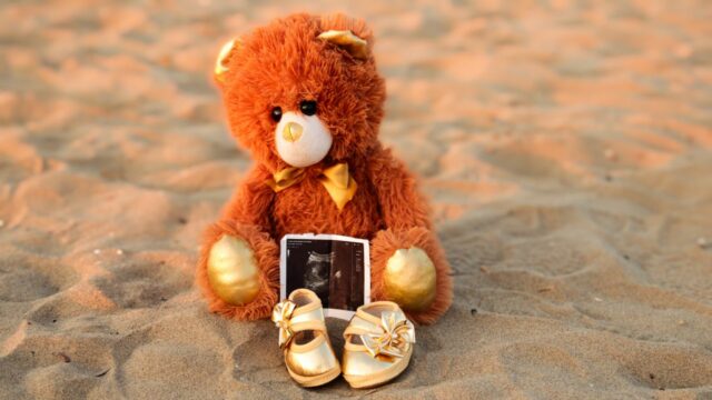 reel bébé souvenir créer-baby journal